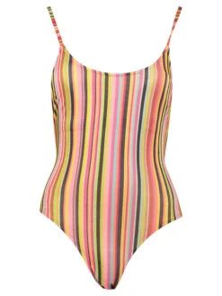 Badeanzug In Bunt